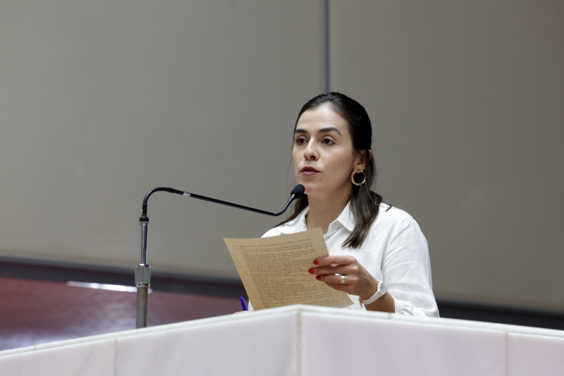 Noticia mulher-que-tentou-agredir-deputada-lohanna-faz-acordo-para-nao-ser-condenada