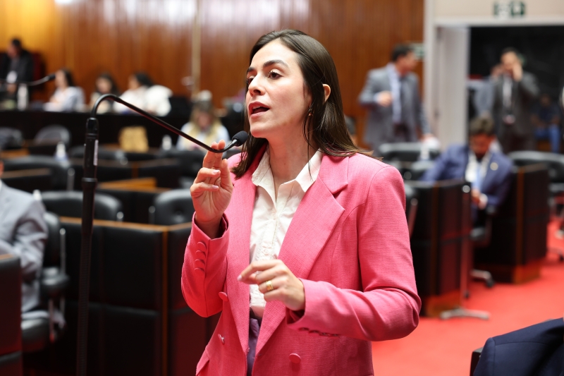 Noticia apos-cobranca-da-deputada-lohanna-cultura-lanca-novo-edital-do-restaura