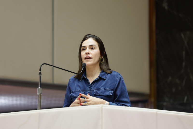Noticia assembleia-aprova-em-2-turno-projeto-da-deputada-lohanna-que-reconhece-a